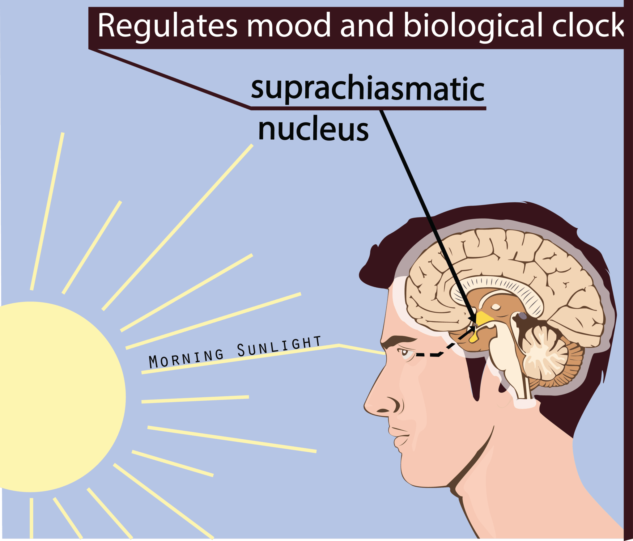 superchiasmaticyhcblog