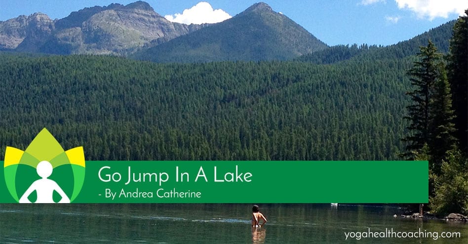 Go Jump In a Lake