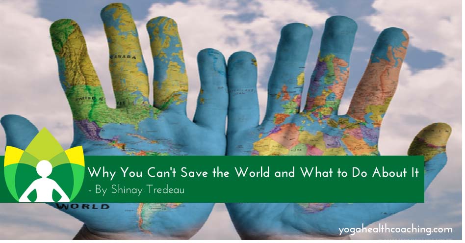 Why you Can't Save the World and What to Do About It