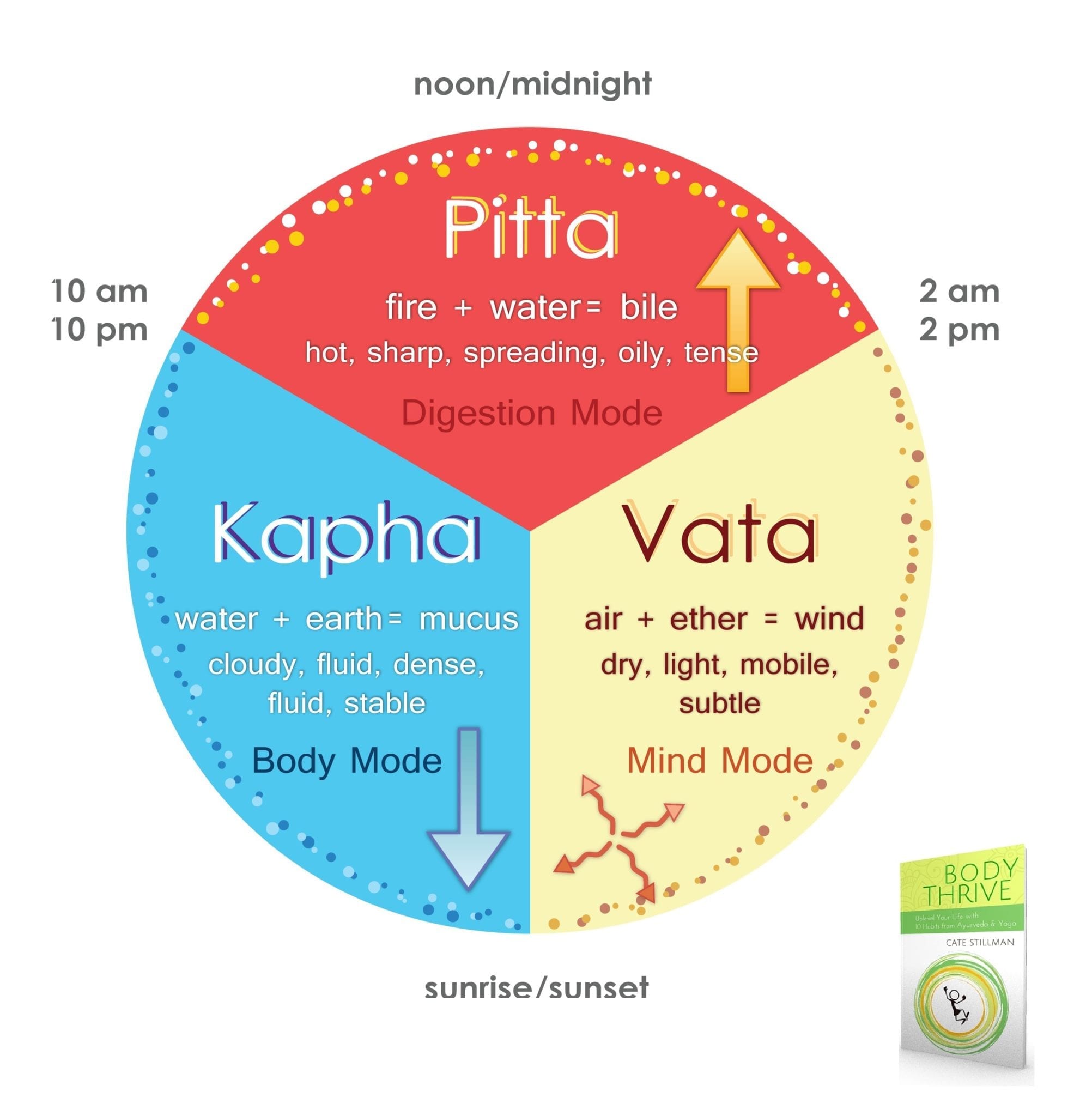 The Ayurvedic Clock Are You at War with Time? Yoga Health Coaching