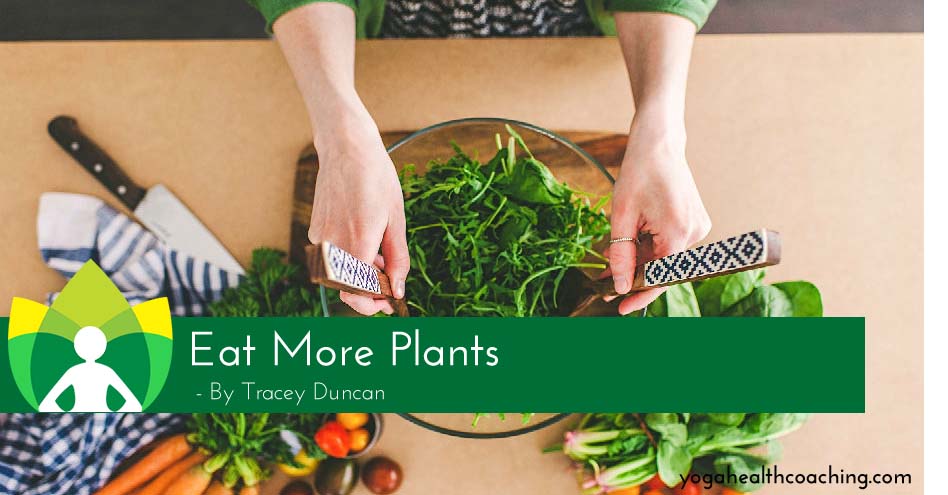 Eat More Plants