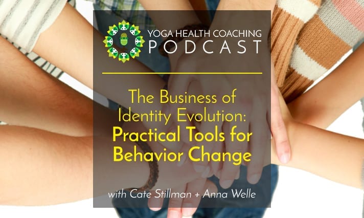 The Business of Identity Evolution:Practical Tools for Behavior ChangeThe Business of Identity Evolution:Practical Tools for Behavior Change