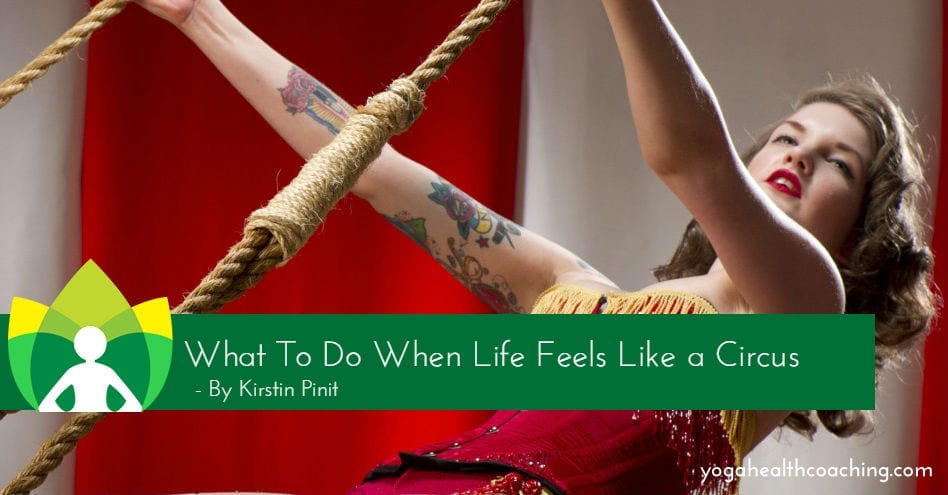 What To Do When Life Feels Like a Circus