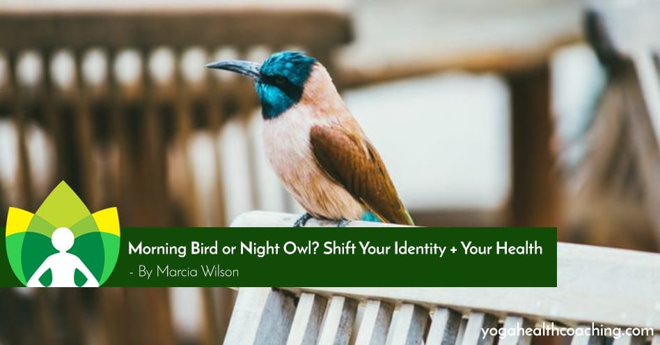Morning Bird or Night Owl Shift Your Identity + Your Health
