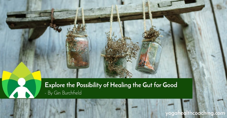Explore the Possibility of Healing the Gut for Good