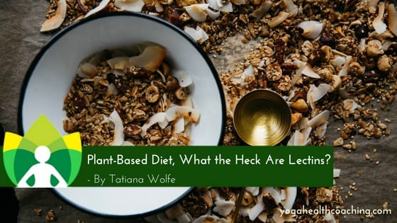 Plant-Based Diet, What the Heck Are Lectins?