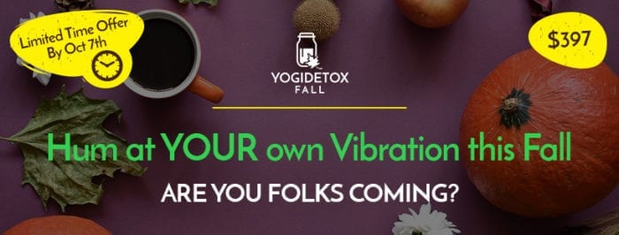 yogidetox banner