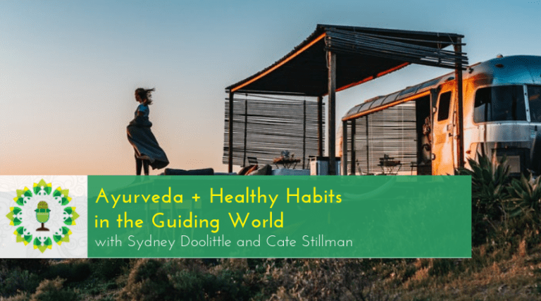 Ayurveda and Healthy Habits in the Guiding World - Yoga Health Coaching