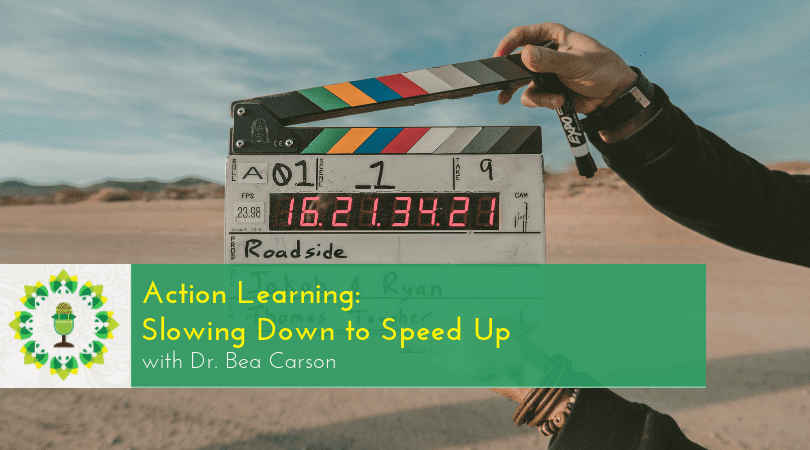 Action Learning: Slowing Down to Speed Up