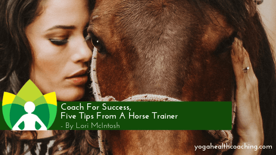 Coach For Success, Five Tips From A Horse Trainer